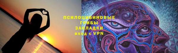 ГАЛЛЮЦИНОГЕННЫЕ ГРИБЫ Володарск