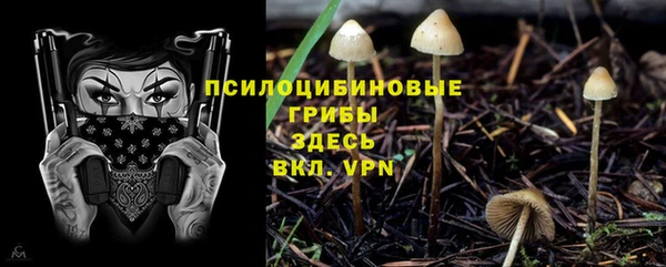 mix Вязьма