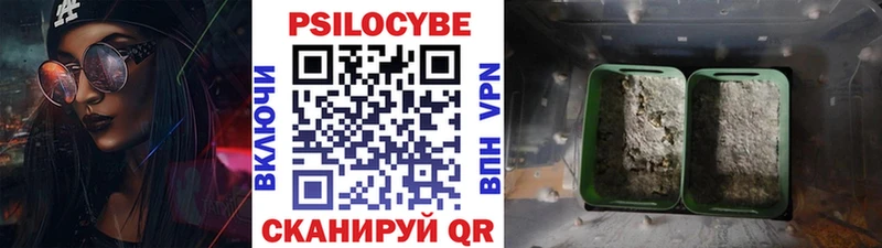 Псилоцибиновые грибы прущие грибы  Лиски 